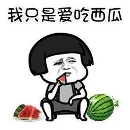 吃瓜娱乐圈搞笑